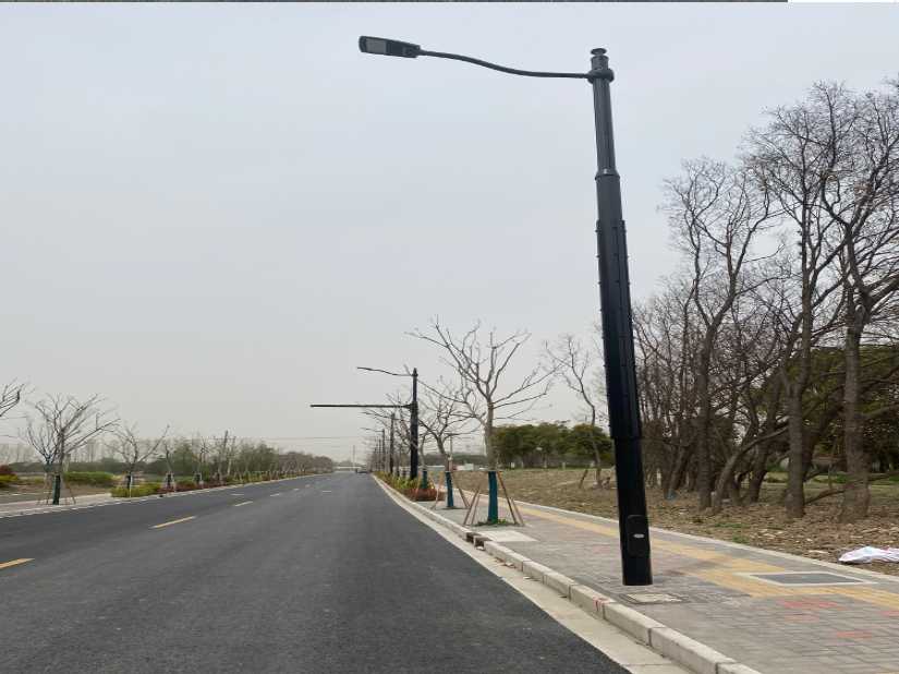 中江县上海综合杆 太阳能路灯工程
